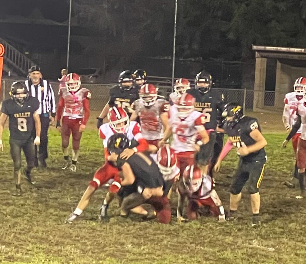 Talking Chop Lumberjacks Chop Down Calhoun County | News, Sports, Jobs - Wetzel ...